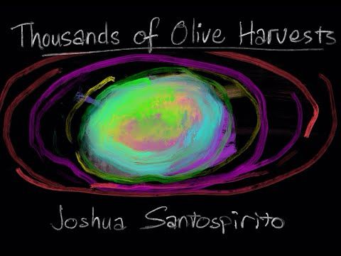 A thousand olive harvests