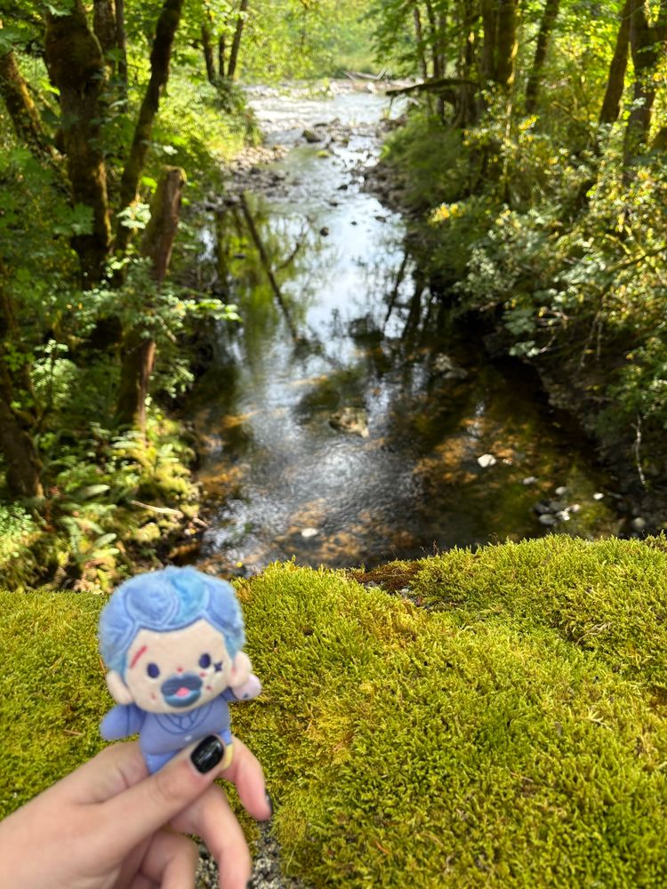 A 5cm Izzy doll by rights stands on moss on a bridge above a river. He is now looking into the camera.