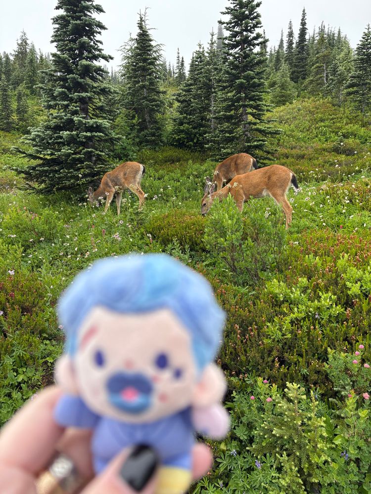 A 5cm Izzy dolls by rights blurry in the foreground and three deer in focus in the background munching on some bright green plants and wildflowers, taken on the Myrtle Falls trail on Mt Rainier national park. Taken about an hour or two ago! 