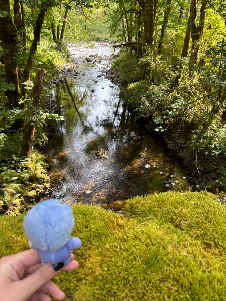 A 5cm Izzy doll by rights stands on moss on a bridge above a river. He is turned to look at the river 