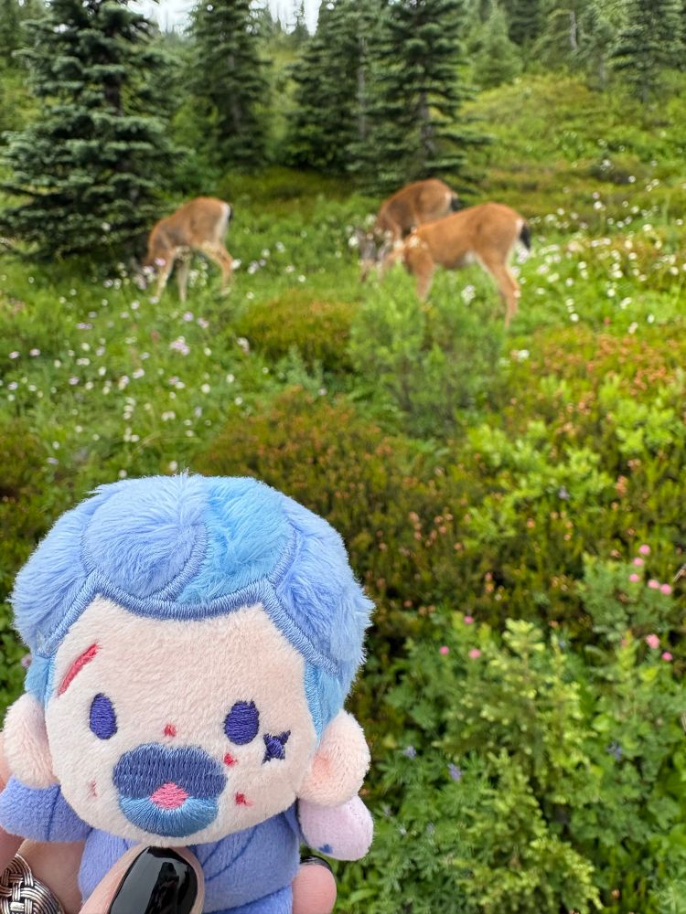 A 5cm Izzy dolls by rights in focus in the foreground and three deer blurry in the background munching on some bright green plants and wildflowers, taken on the Myrtle Falls trail on Mt Rainier national park. Taken about an hour or two ago! 
