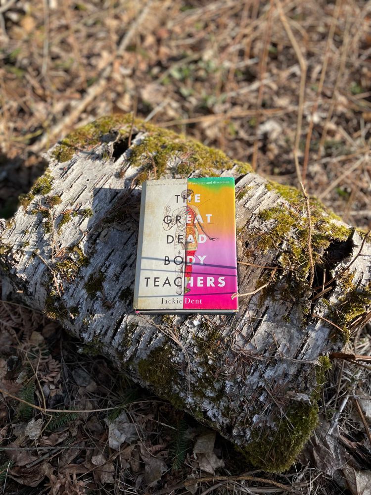 The book the Great Dead Body Teachers resting on a tree trunk