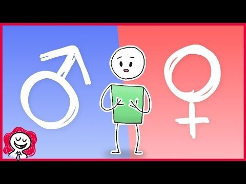 Cosa sono "I MASCHI" e "LE FEMMINE"