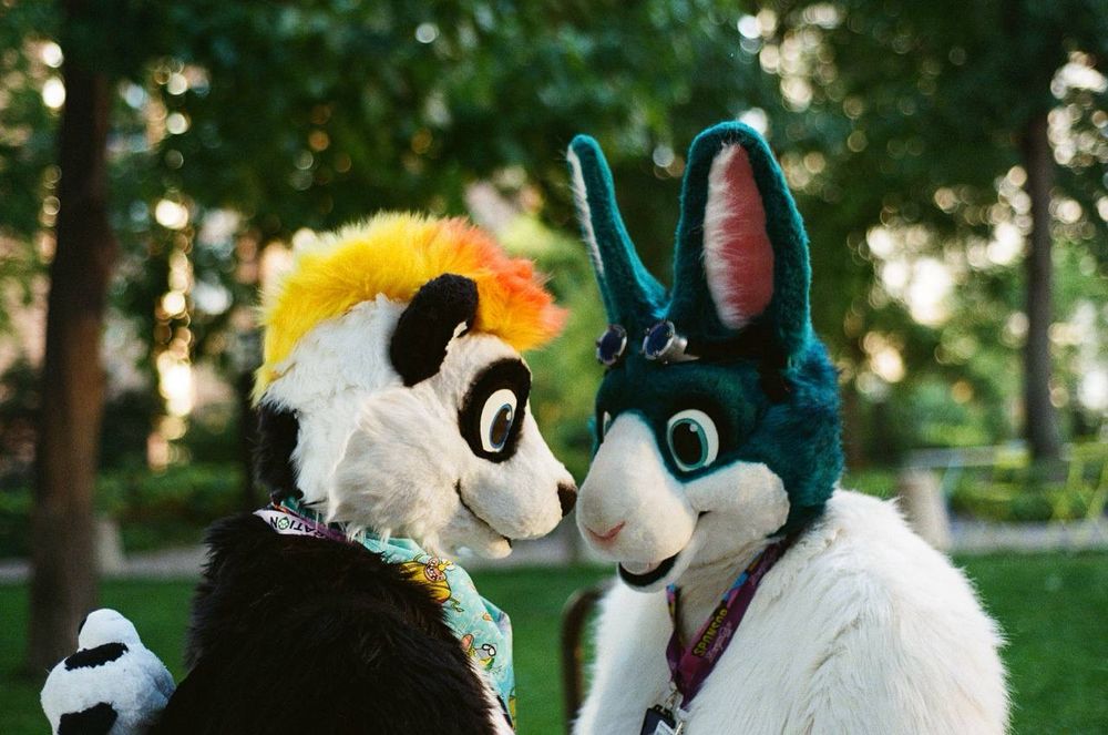 Moco 🐰 at ConFuzzled!: 