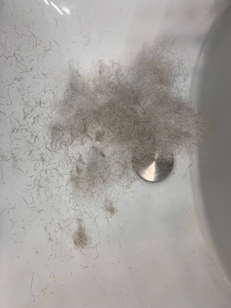 A sink full of freshly-shorn gray-white facial hair.