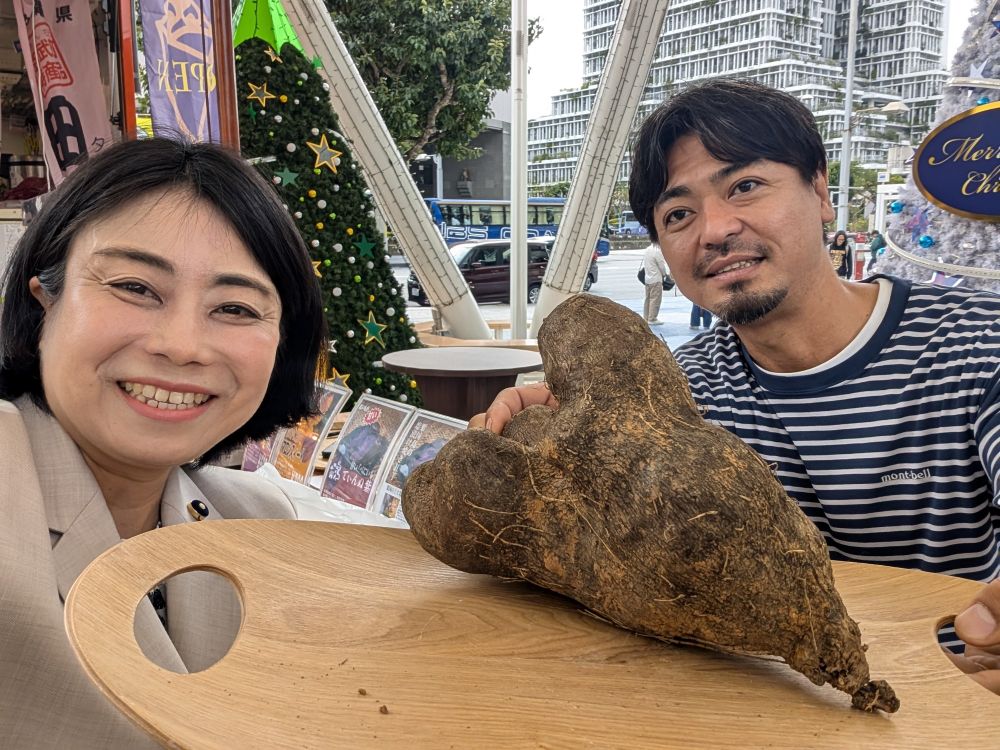 繁多川堂さんは様々なおイモで焼き芋を販売。粟国島の紅芋は焼き芋で美味しかったです。

見せていただいたのは大きめヤマイモです。近々、イモ品評会があるそうで「大きいのはそっちに持っていって、那覇にはないんです」👀