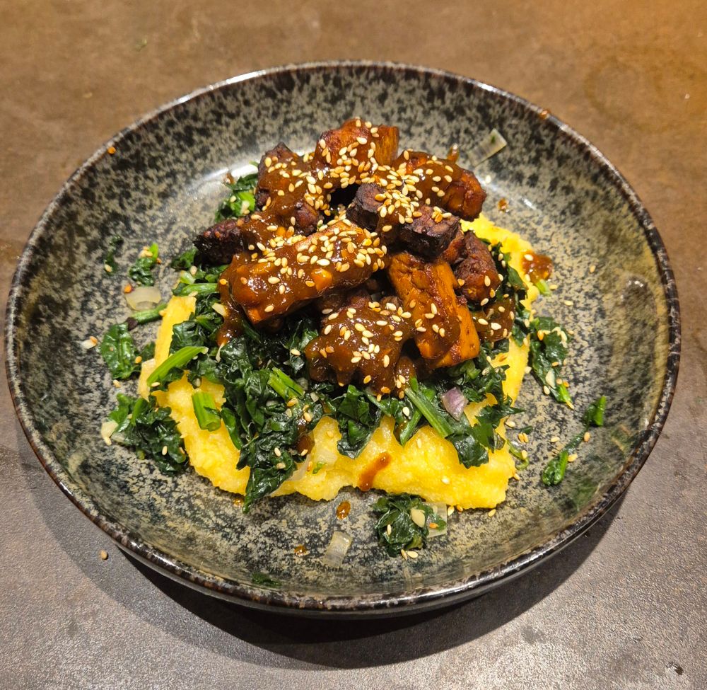 The disk described above