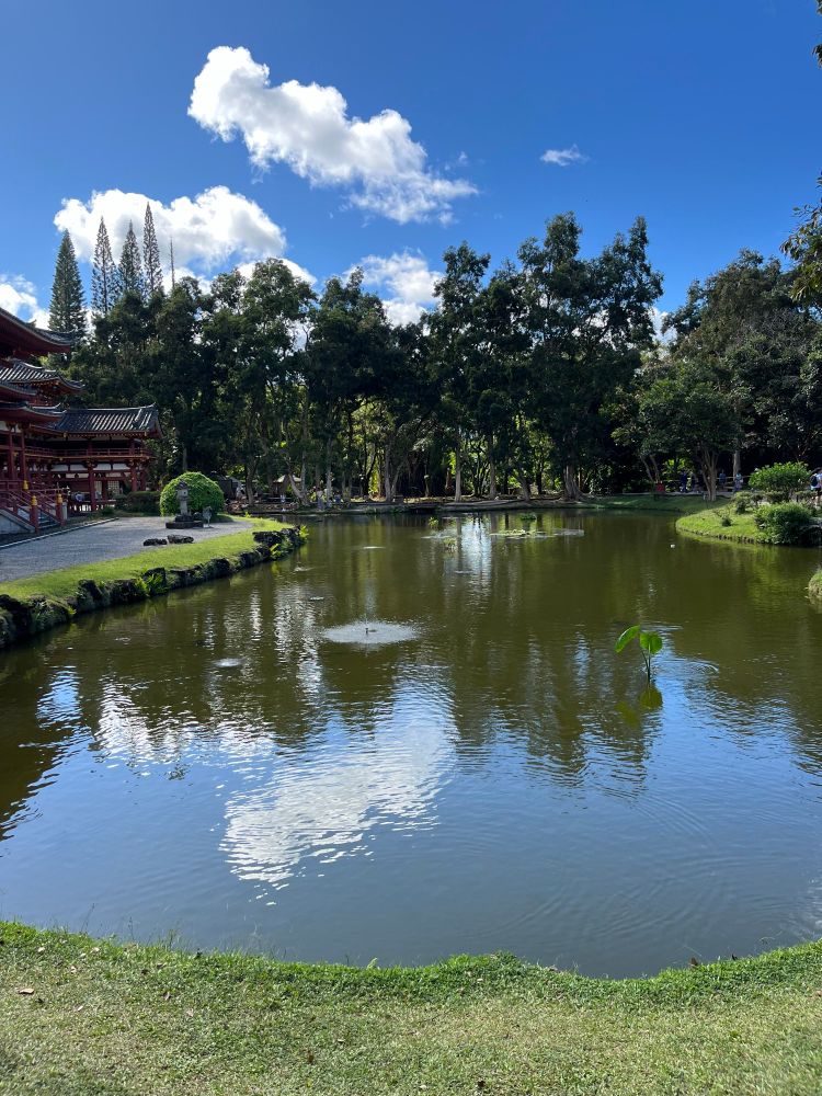 A pond at the Byodo-in Temple 