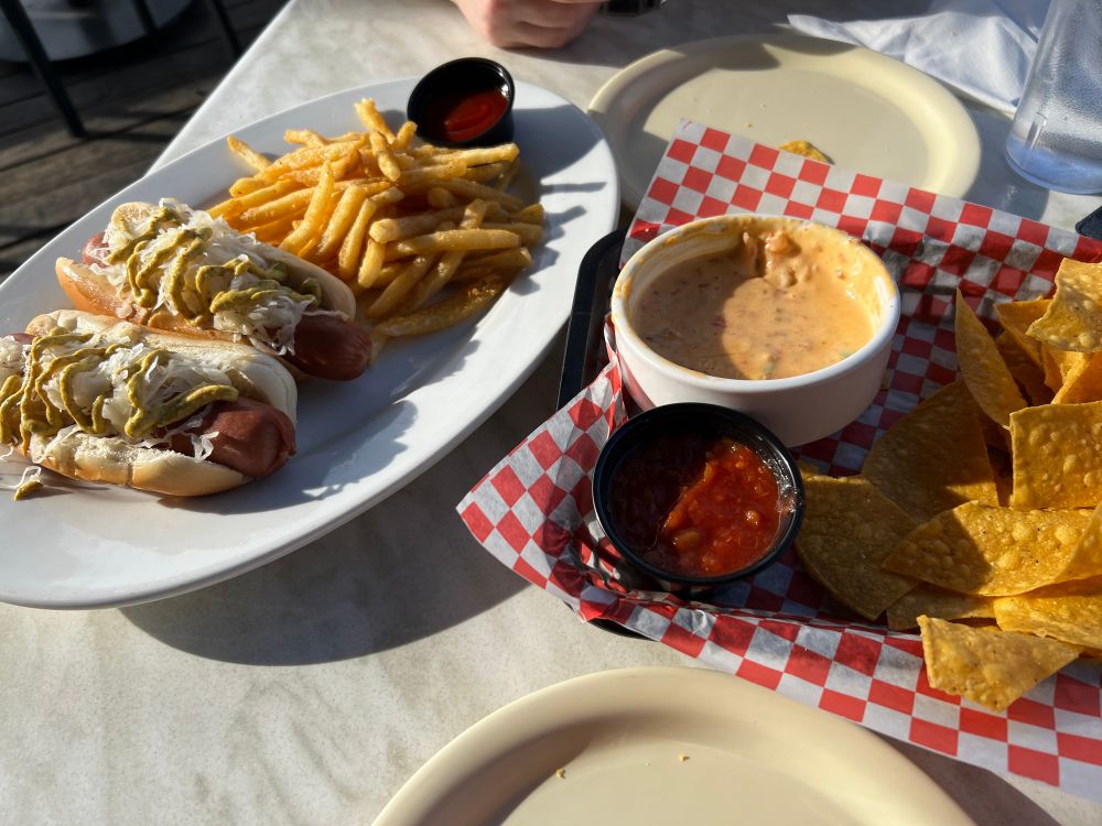 a plate with two hot dogs (sauerkraut and mustard) with fries, a plate of chips and queso next to it 