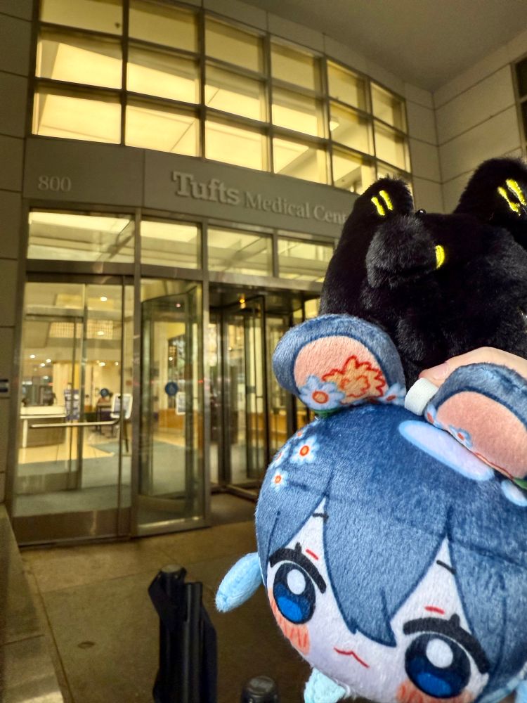 Blue plush creature from teacuppity and black pocket fox plush from Anxiety Fox in front of the entrance of Tufts Medical Center 