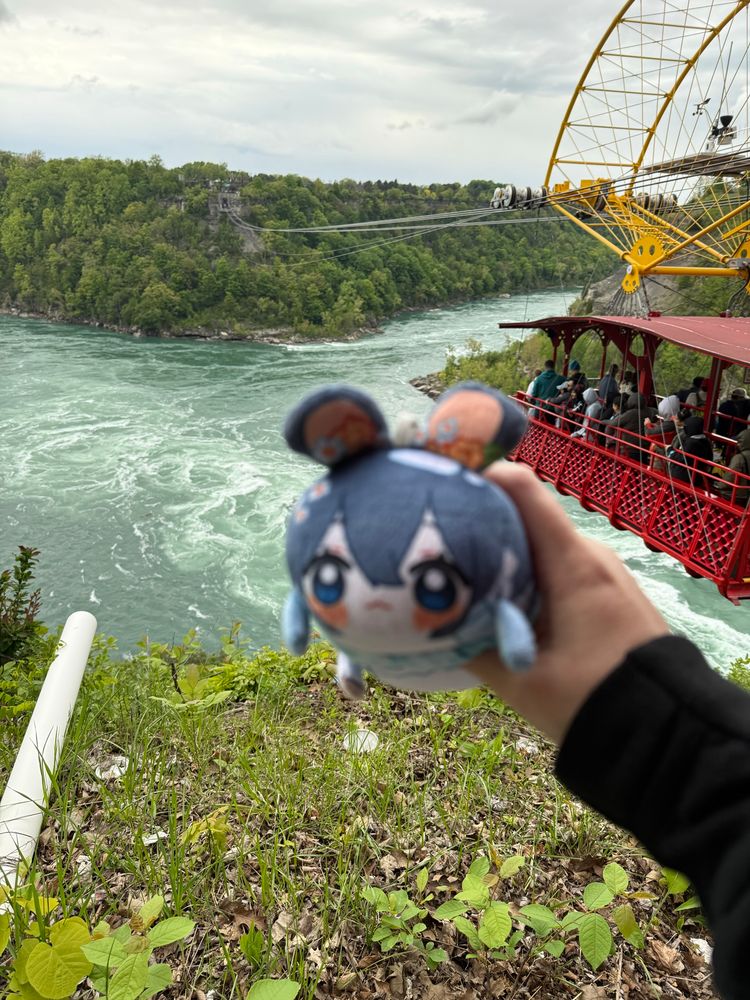 La Creatura at cable car over the Falls
