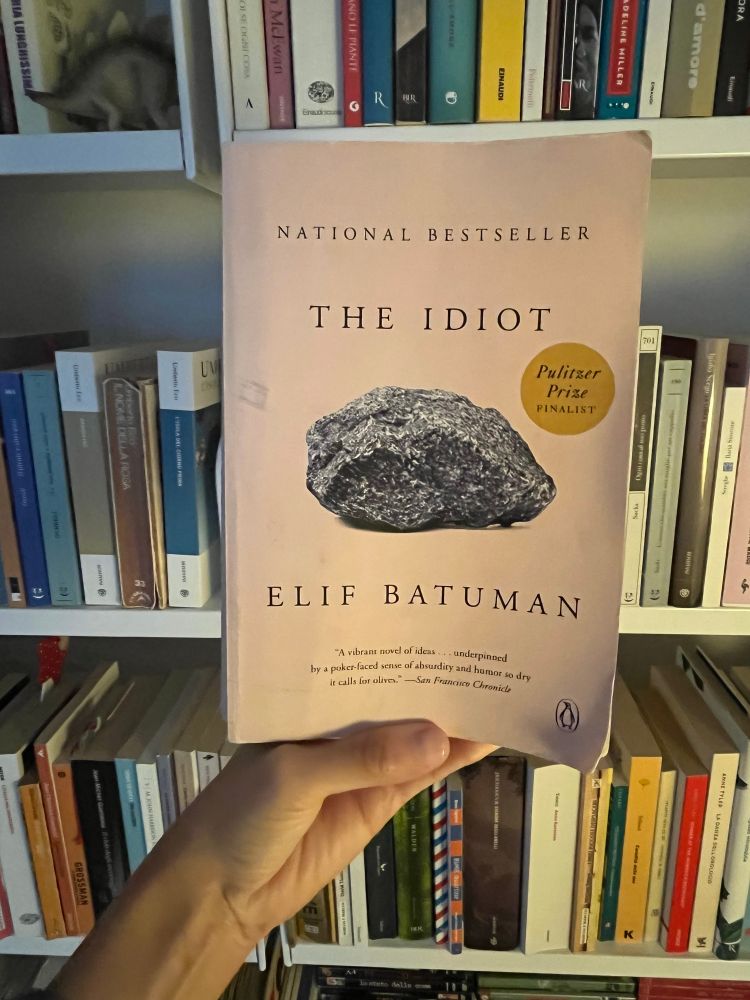 a copy of the novel The Idiot by Elif Batuman in front of a bookshelf filled with various books. The book cover is pale pink with a black rock illustration in the center