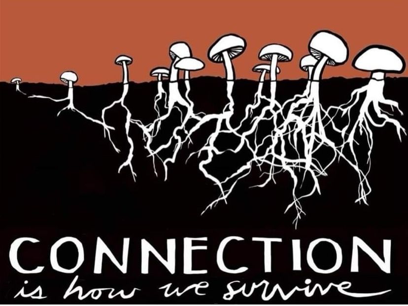Image ID: Stylized graphic of white mycelium (the root-like network of fungi) and mushrooms with text that reads “connection is how we survive” at the bottom of the image.