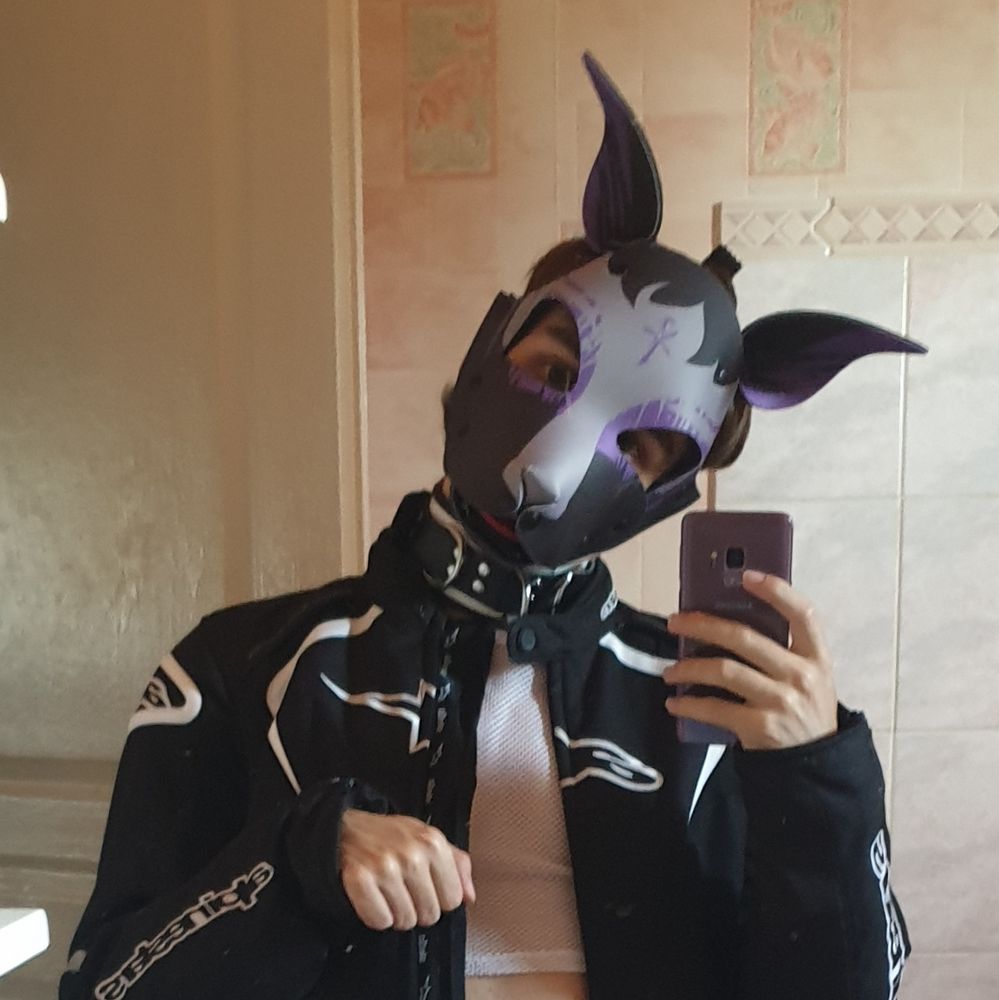 Cute pup posing for the photo in a wruffstuff anubis hood and a black/White biker gear jacket