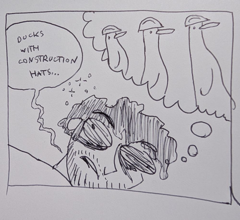 A wobbly dream bubble appears with three ducks in hard hats. I blearily mumble "ducks in construction hats"