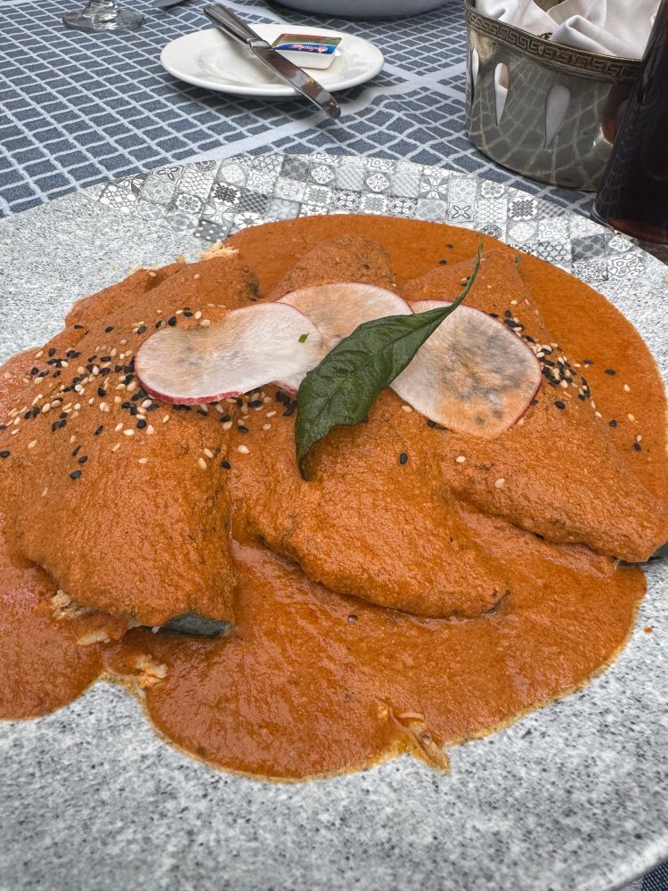 Chicken enchiladas in a savory salsa made with corn tortillas. Topped with 3 thinly sliced radish and an single unknown herb leaf. 