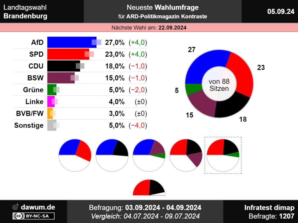 Landtagswahl Brandenburg: Neueste Wahlumfrage | Sonntagsfrage #ltwbb