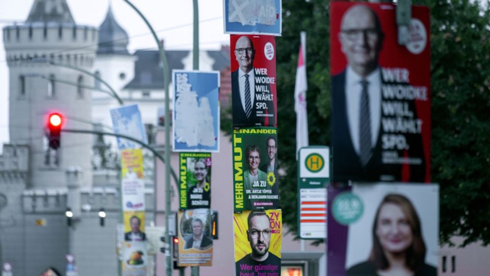 Umfrage: AfD und SPD legen in Brandenburg deutlich zu