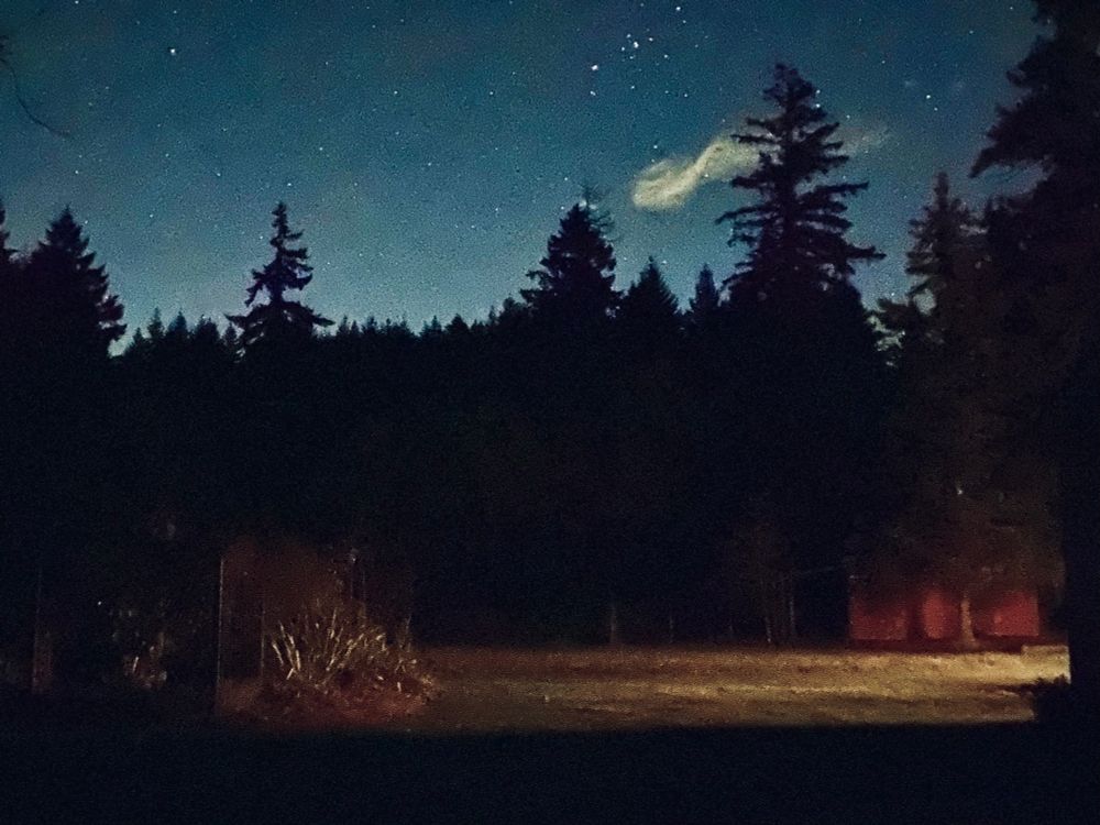 Three second exposure in the dark dark night out back; floodlight on. There is a lightly clouded sky with stars; there are evergreens and fence posts, uncertain foliage; there is a barn . . . .  Blacks and deep greens are present, as are reds and ochres, in the golden throw of light. Blue too. 