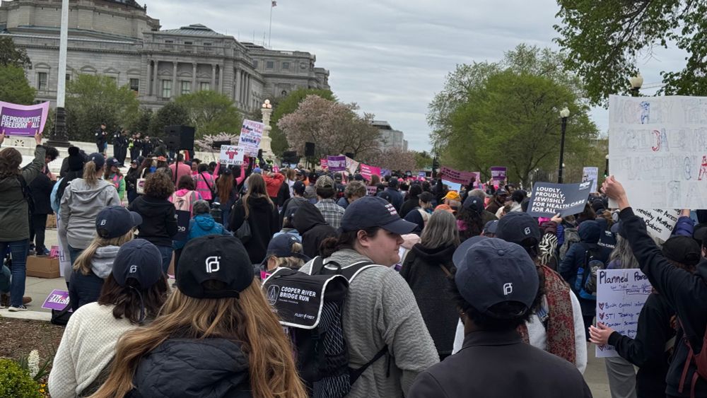 A picture showing the crowd