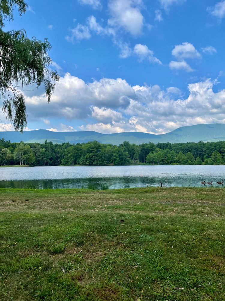 A lake with lush green trees along its banks and rolling mountains in the distance under a blue sky dotted with puffy white clouds