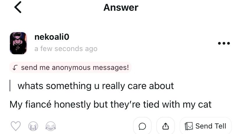 Someone asks what’s something you really care about, I answer my fiancé honestly but they’re tied with my cat