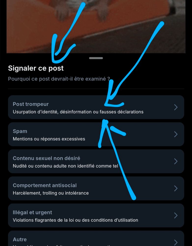 Ndlr : Eric Bottlaender est fiable sur le spatial pas sur la Bretagne