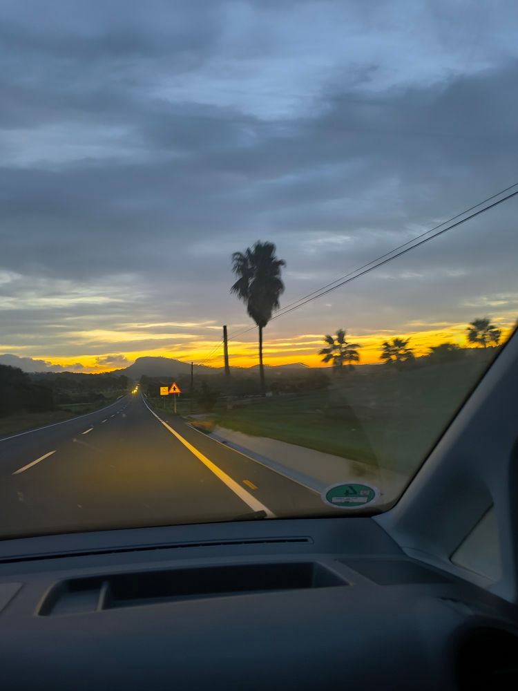 Ein Foto aus dem fahrenden Auto heraus. Es ist früher Morgen und über den Bergen von Mallorca geht die Sonne auf. Am Straßenrand steht eine Palme. Im Hintergrund färbt sich der Himmel in Orangtönen und man sieht Lichtpunkte der entgegenkommenden Autos. 