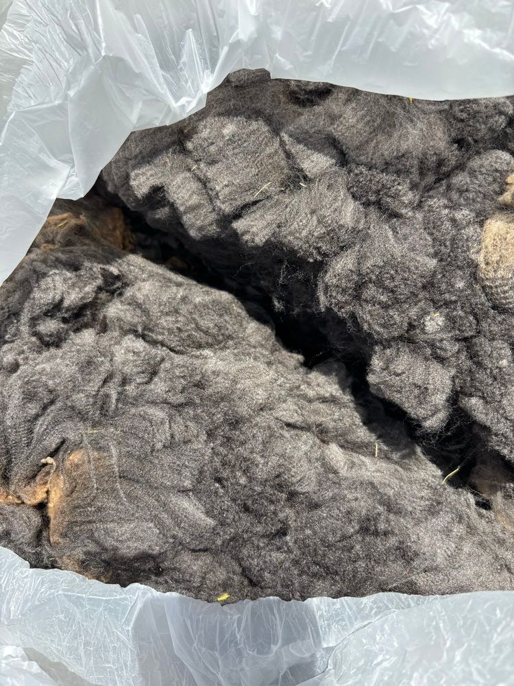 Picture of 4 pounds of a medium gray Cormo fleece in the box it was shipped in. 