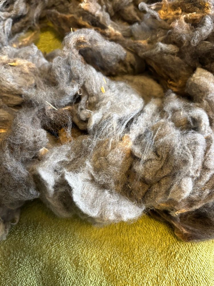 The first batch of fleece sitting on a green towel clean and mostly dry.
