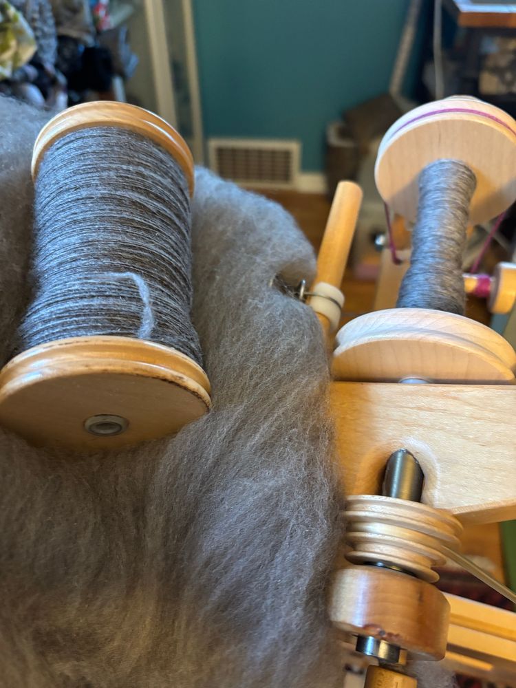 Starting a second bobbin of my Cormo fleece because this batt is lighter in color. The first bobbin and current batt are also pictured. 