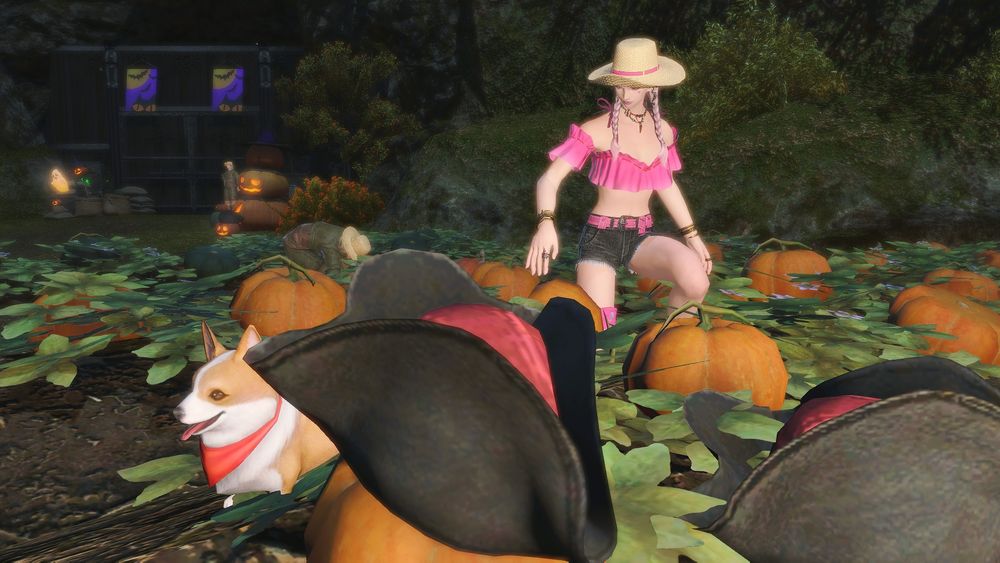 #Elftober2025 #Elftober #ElezenHours #Elezen #EorzeaPhotos