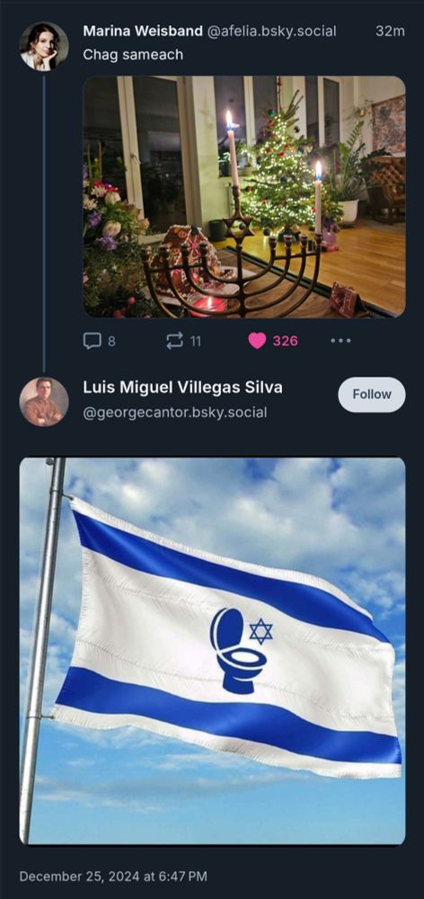 Antisemitische Antwort aus Post von Marina Weisband mit Bild einer Israel Flagge, auf der eine Toilette zu sehen ist mit einem Davidstern, der offensichtlich in dieser runtergespült werden soll. 