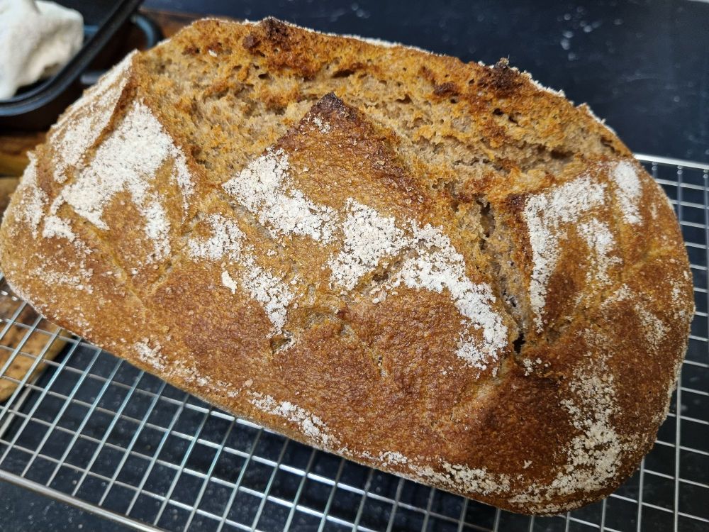 Frisch gebackenes Brot auf einem Gitter zum auskühlen. 