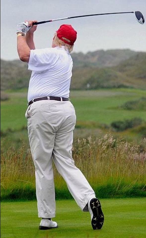 Trump golfing in all his piggyness.