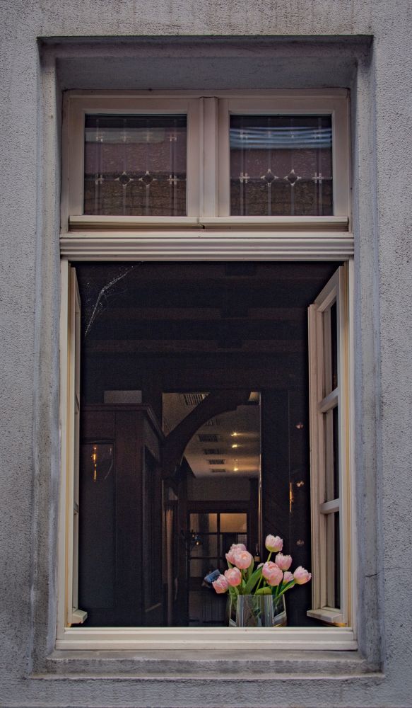A flower pot in an open window