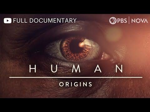 Human: Origins | Full Documentary | NOVA | PBS