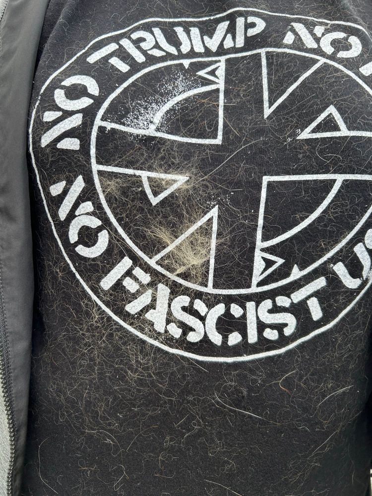 A black t-shirt covered with cat hair