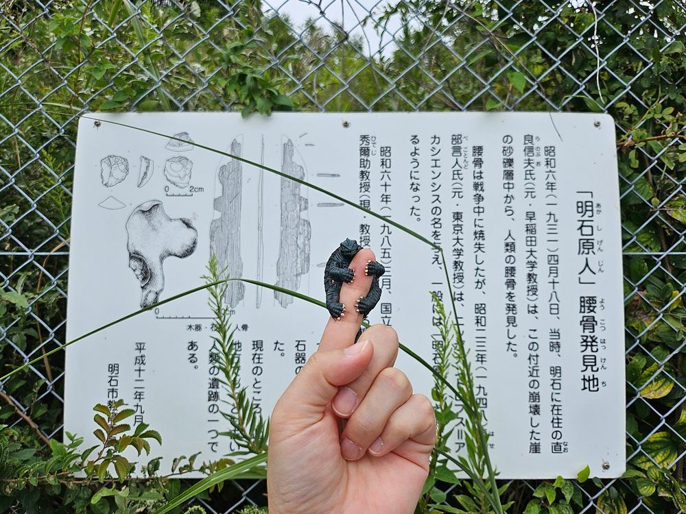 [写真]「明石原人」腰骨発見地 の看板の前で人間の指にしがみついているガメラ。