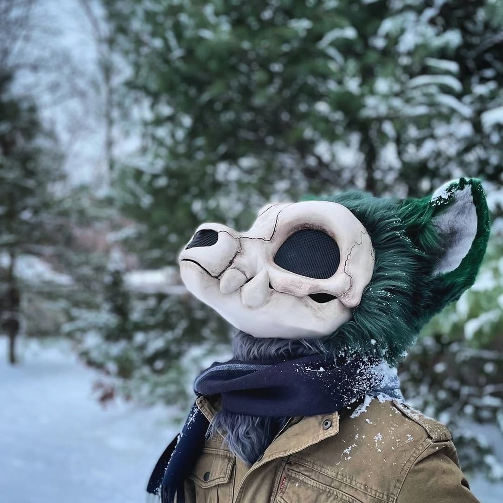 Light green and dark green skullbeast fursuiter in a snowy landscape, looking upwards. goofy ahhh fella