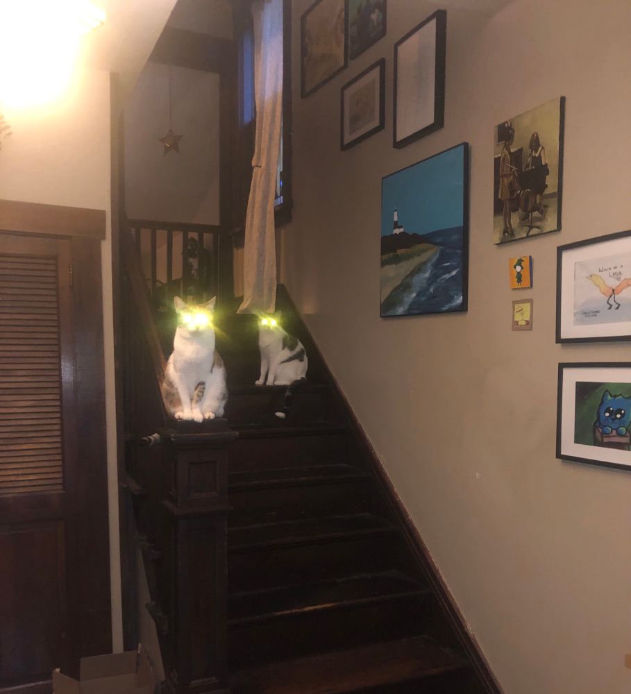 A calico cat and a tuxedo cat are sitting on wooden stairs. The flash on my camera has made their eyes glow unnaturally. 