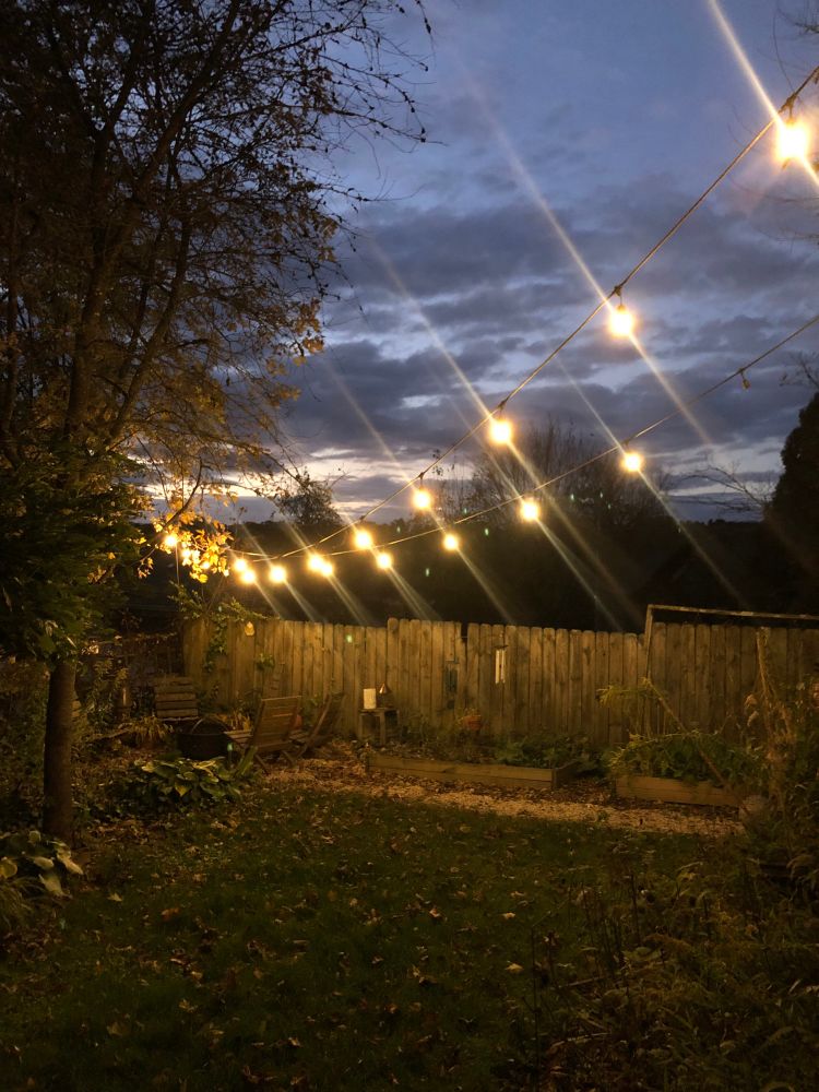 Just past sunset in my garden. Cafe lights are lit up. 