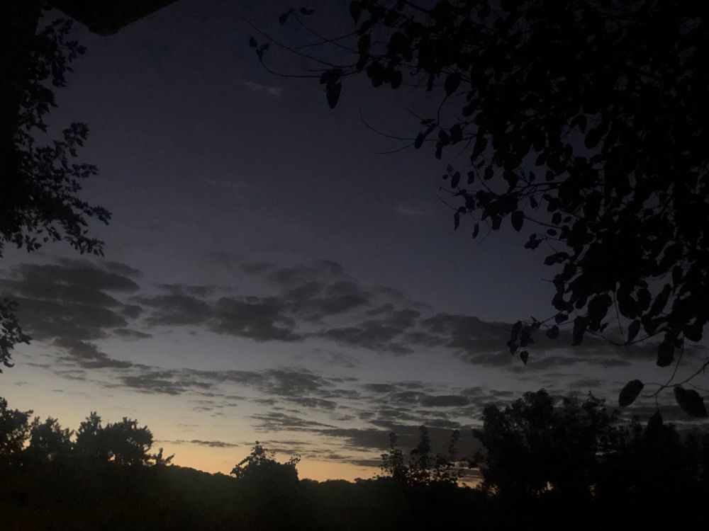 Dusk 