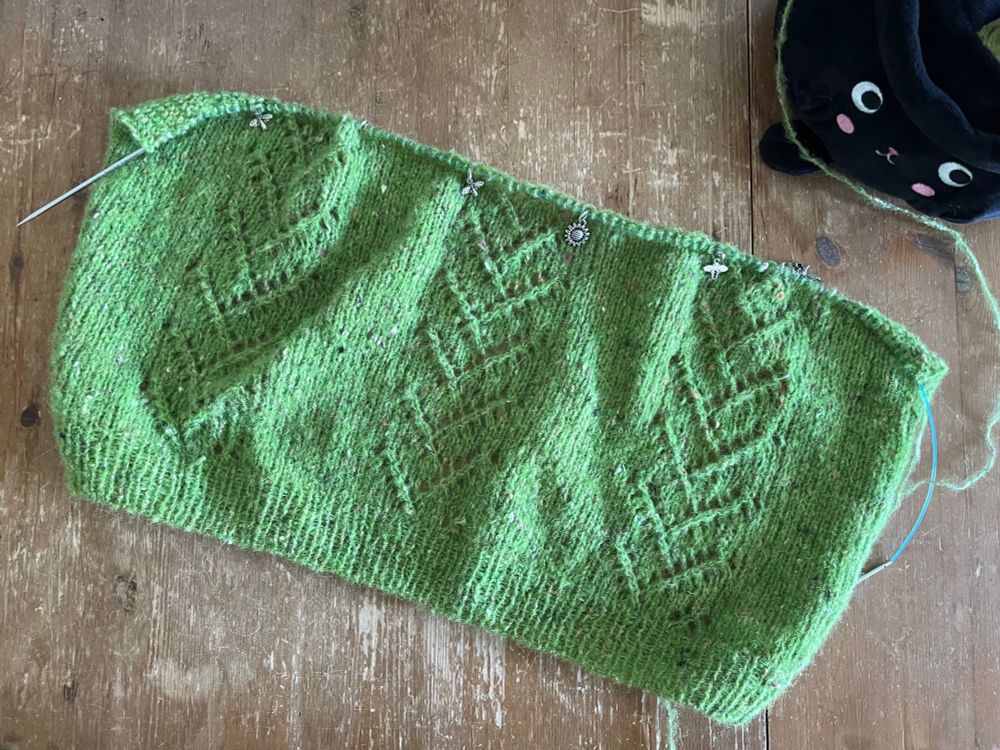 a part-knit piece of a cardigan; it’s green and has vertical lace panels that look like pine fronds. if you squint.