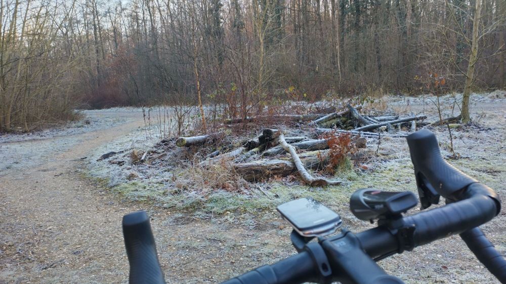 A frozen trail in light woods shot over my bike handlebar. The way makes a roundabout circling some frozen deadwood.