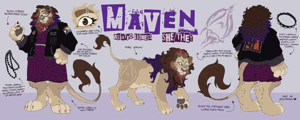 Ref-sheet by @blvrrykat.bsky.social. At the top center it reads "Maven" in large stamped purple capital block letters. Beneath in much smaller stamped purple letters reads "Asiatic Lioness" and "She/they"

The image has three large figures; a front-facing anthro on the left, rear-facing anthro on the right, and a full-body side feral between the two beneath the lettering. The anthro Maven is standing on two hind paws, with left paw on her hip and right paw raised with one extended claw. Her mane is burgundy and dark tan, wreathed in a flowing outer mane, dark brown roots to dark purple tips in an ombre pattern. She's wearing a purple patterned two-piece dress and a black denim battle jacket covered in patches. Black Mala beads are worn around her raised paw, and horn-rimmed half-moon glasses in front of eyes thick with black eyeliner and mascara. Her left eyebrow is scarred, and an eyebrow piercing sits bridging the gap where hair no longer grows. 

The central feral lioness figure has more naturalistic coloration save for the colorful mane and therian Theta-Delta in lighter fur on her flank.

The large figures are surrounded by smaller detail figures and hand-lettered callouts with arrows pointing out features; "black, curved, retractable claws"; "always wearing mala beads (anthro + feral) either wrapped 5x around wrist or 2x around neck"; "no eyebrow hair + small scar under piercing"; "fur patterns are not exact - follows natural patterns for species"; "Femme curves on 'masc' frame"; "Feral version must include therian symbol in fur pattern or as haze, cloud, or shadow"; "Likes wearing patterned shirts/dresses, denim jackets with patches, + spiked collars"

One final note is handwritten, Ref by @blvrrykat