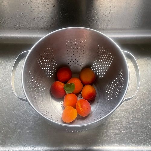 A bunch of perfectly sunset gold apricots sitting in a large metal colander
