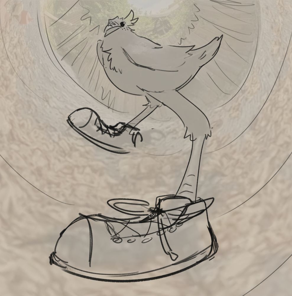 bird showing off some sneakers in a very warped fish eye perspective
