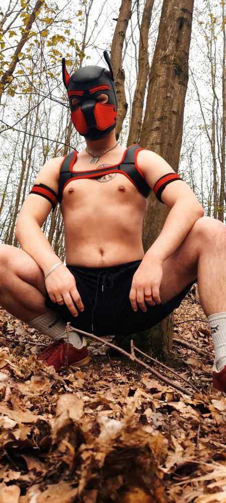 Woof, hello there!

#czechpup #czechgay #puppyplay 