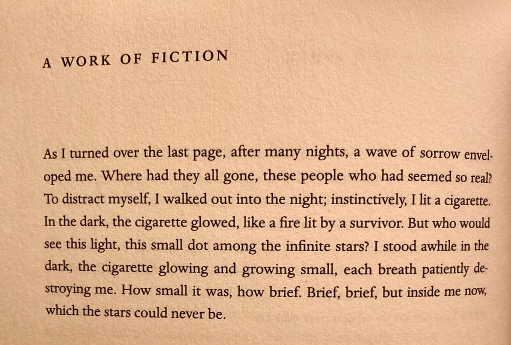 Picture of the poem “a work of fiction” by Louise Glück